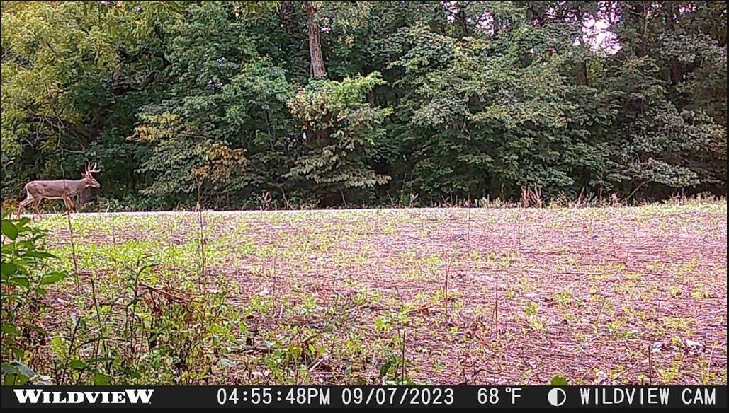 78+/- Acres TBD W Blanding Road