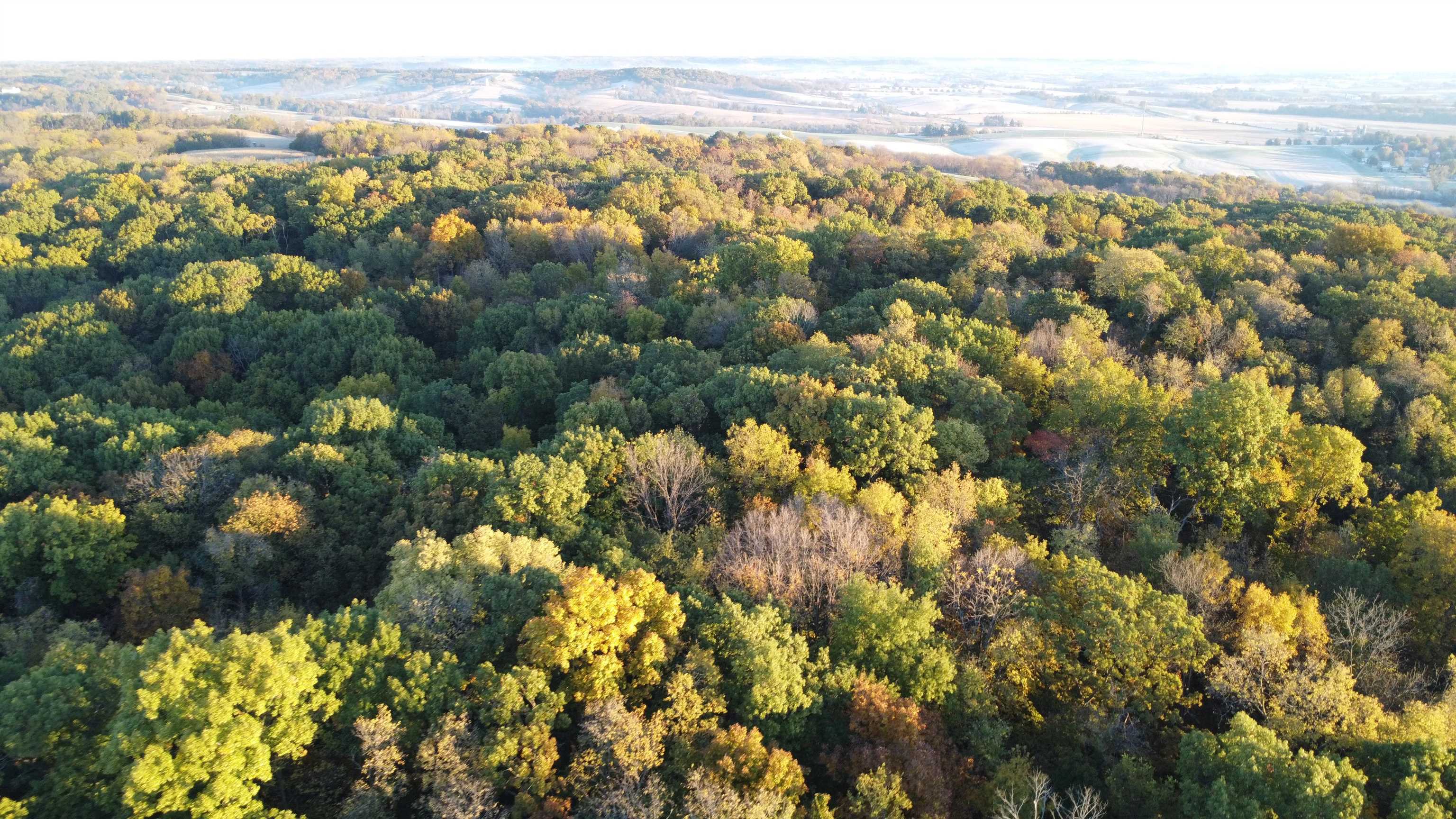 78+/- Acres TBD W Blanding Road