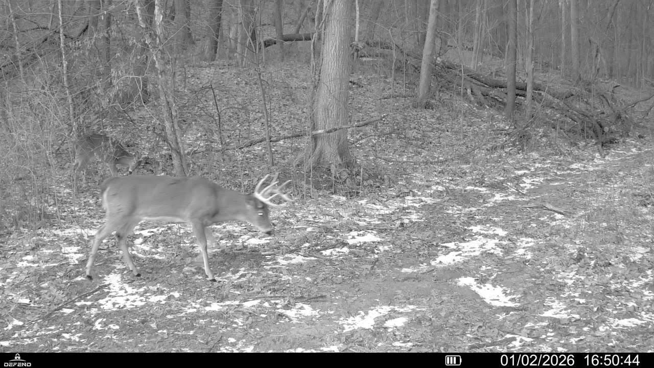 78+/- Acres TBD W Blanding Road