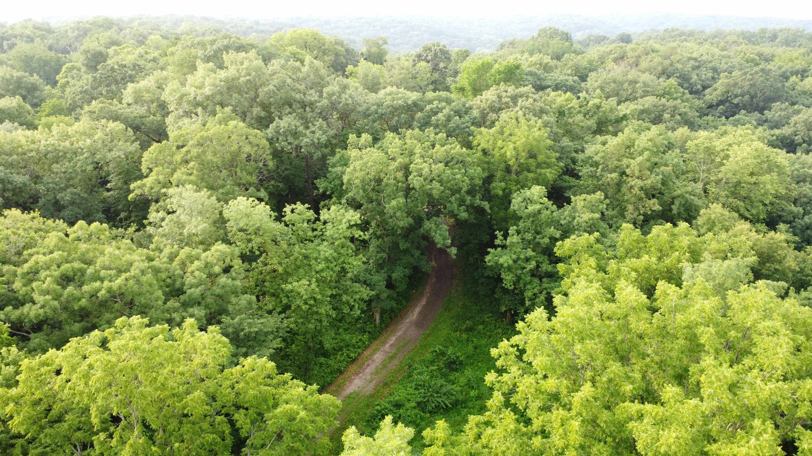 78+/- Acres TBD W Blanding Road