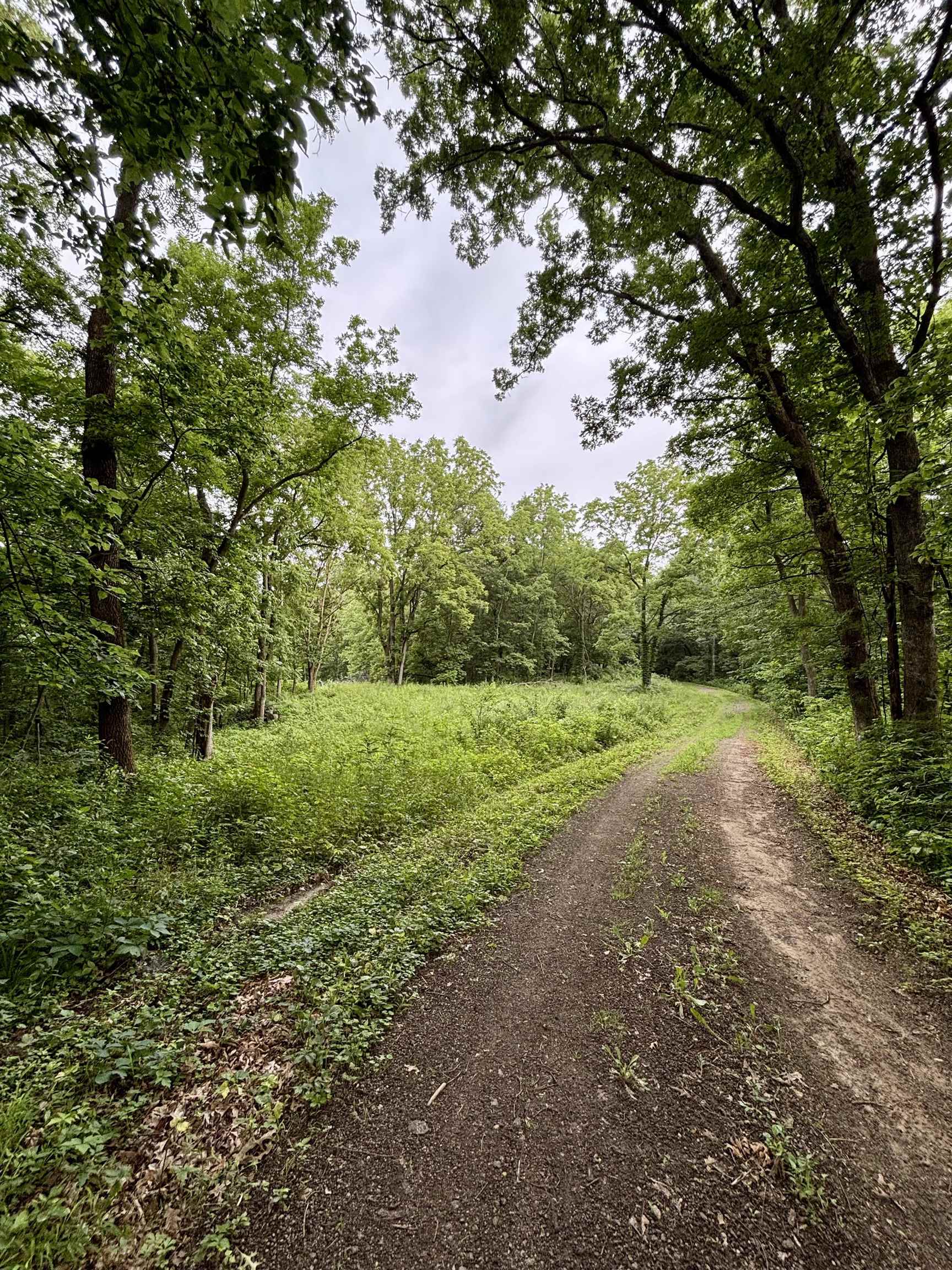 78+/- Acres TBD W Blanding Road