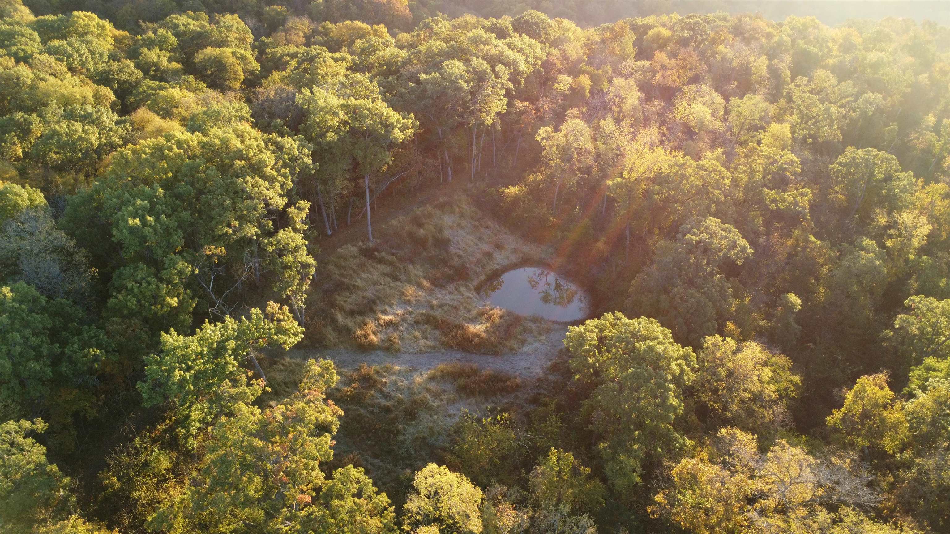 78+/- Acres TBD W Blanding Road