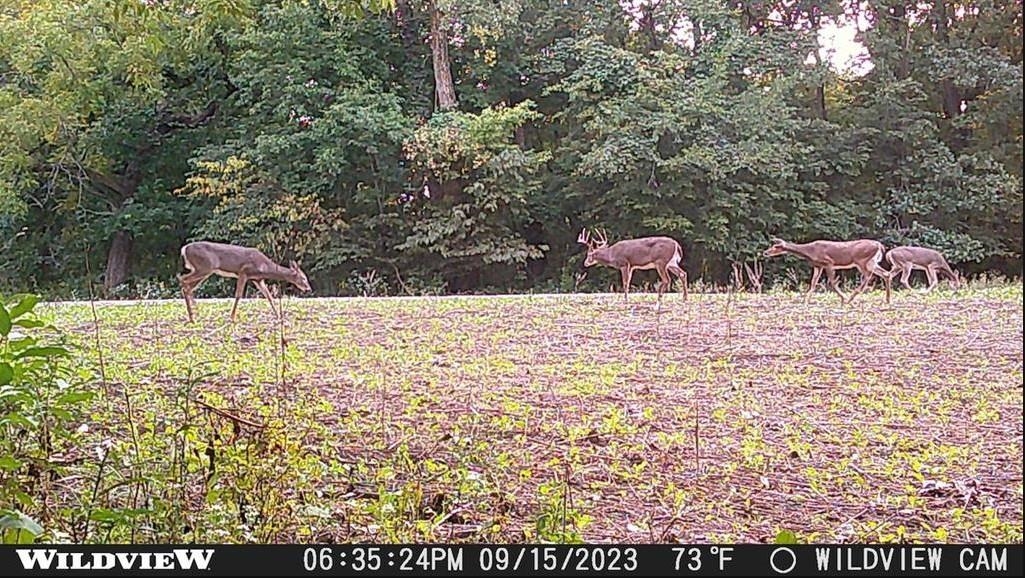78+/- Acres TBD W Blanding Road