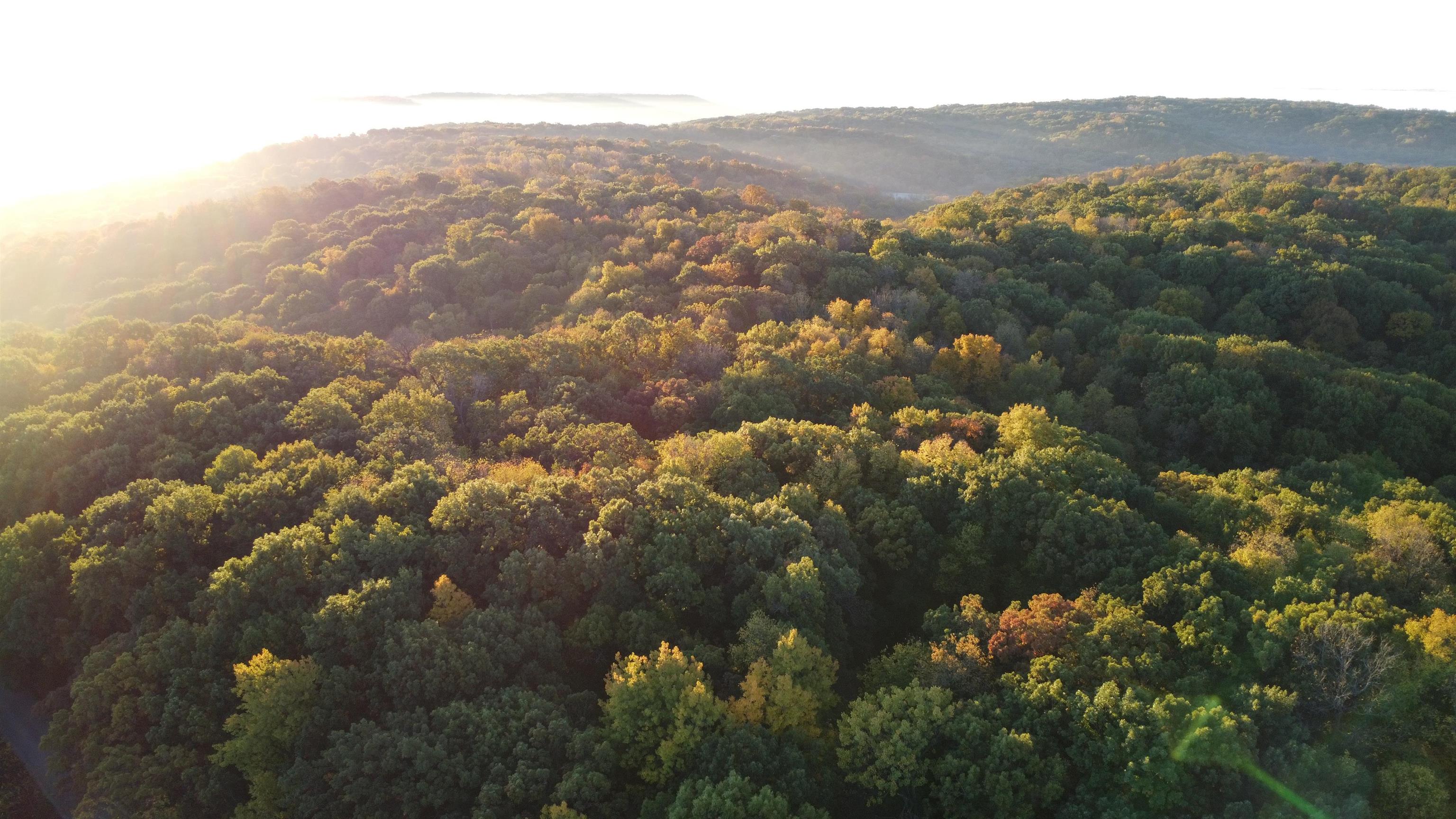 78+/- Acres TBD W Blanding Road