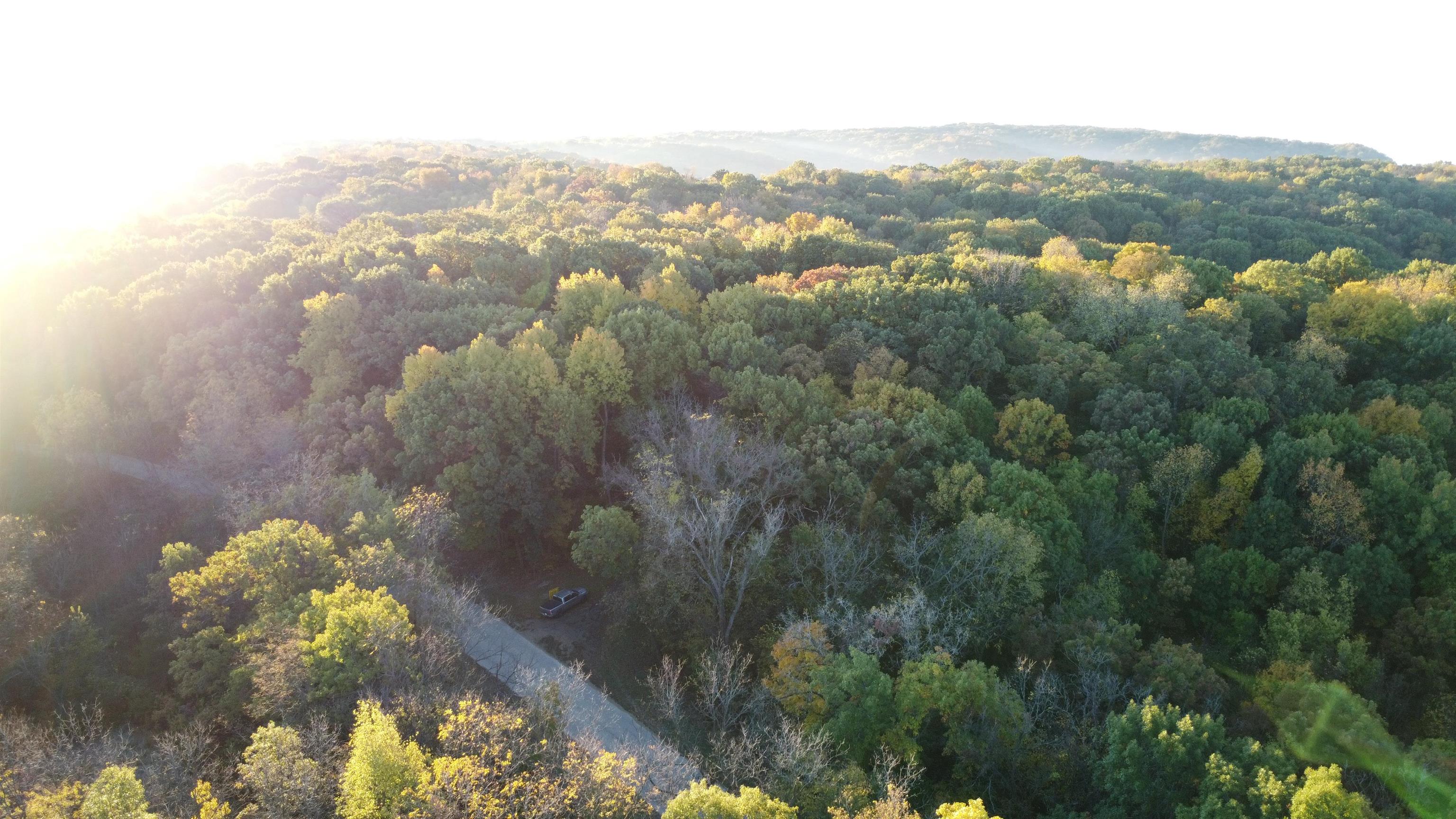 78+/- Acres TBD W Blanding Road
