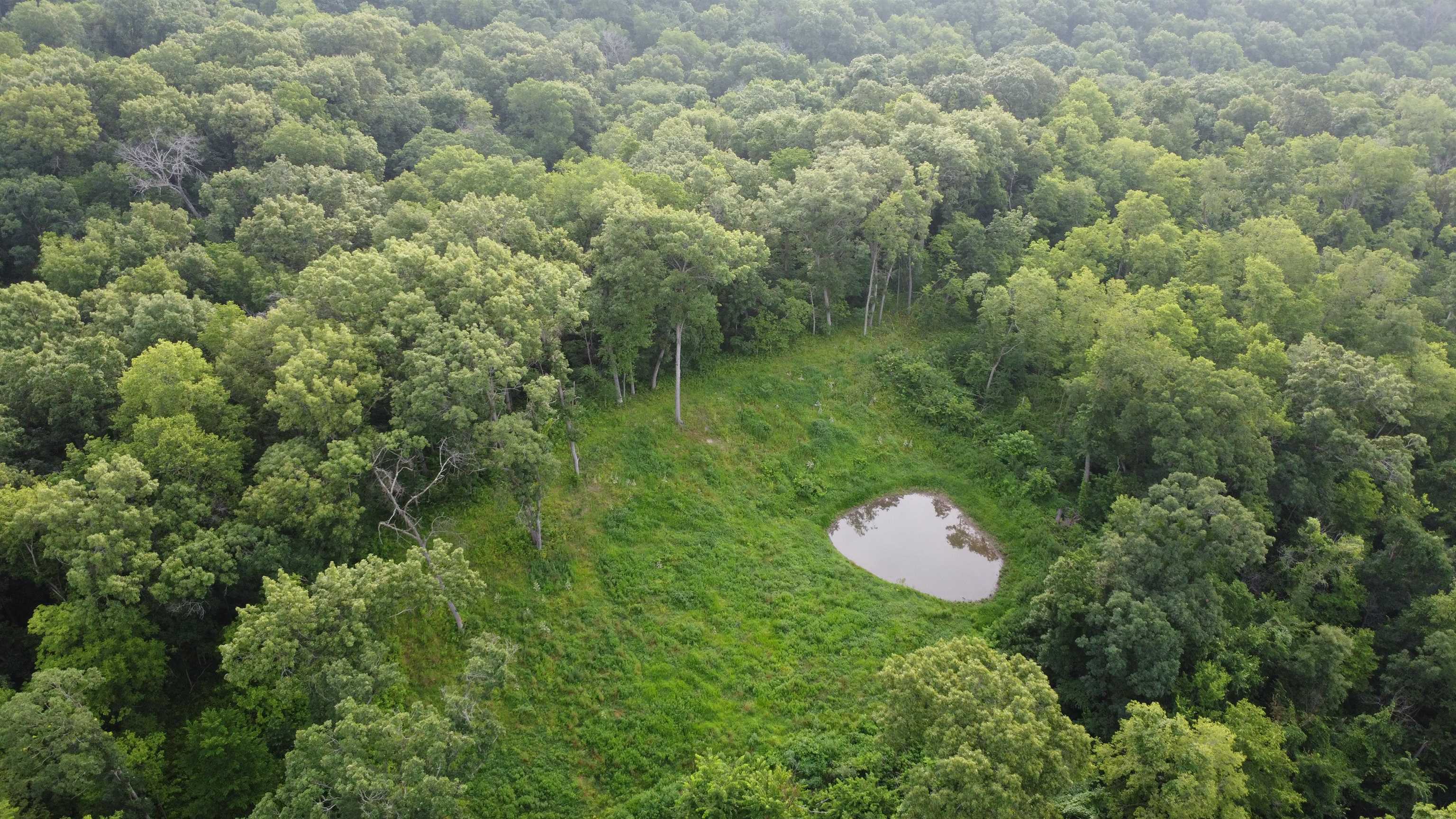 78+/- Acres TBD W Blanding Road