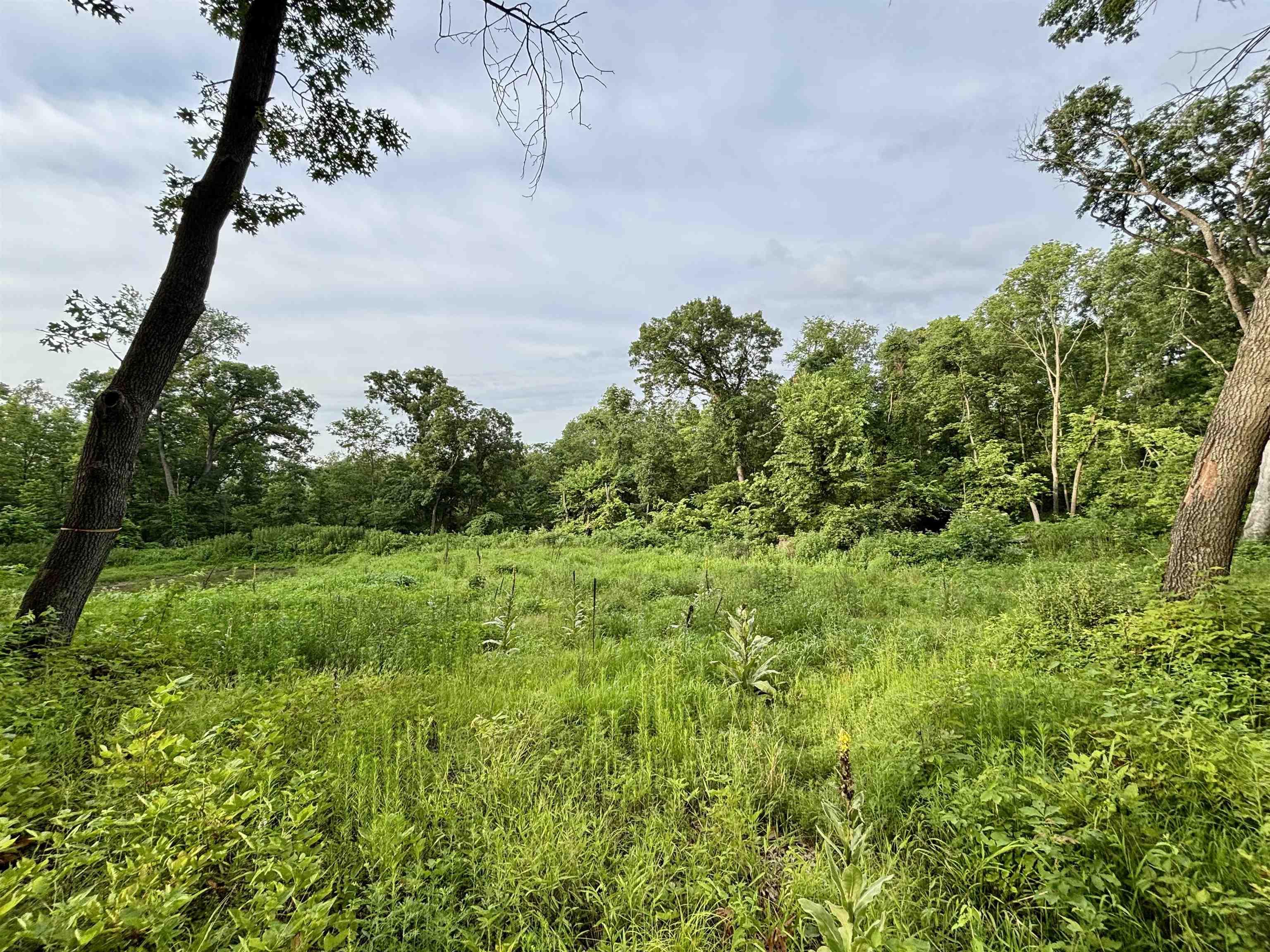 78+/- Acres TBD W Blanding Road