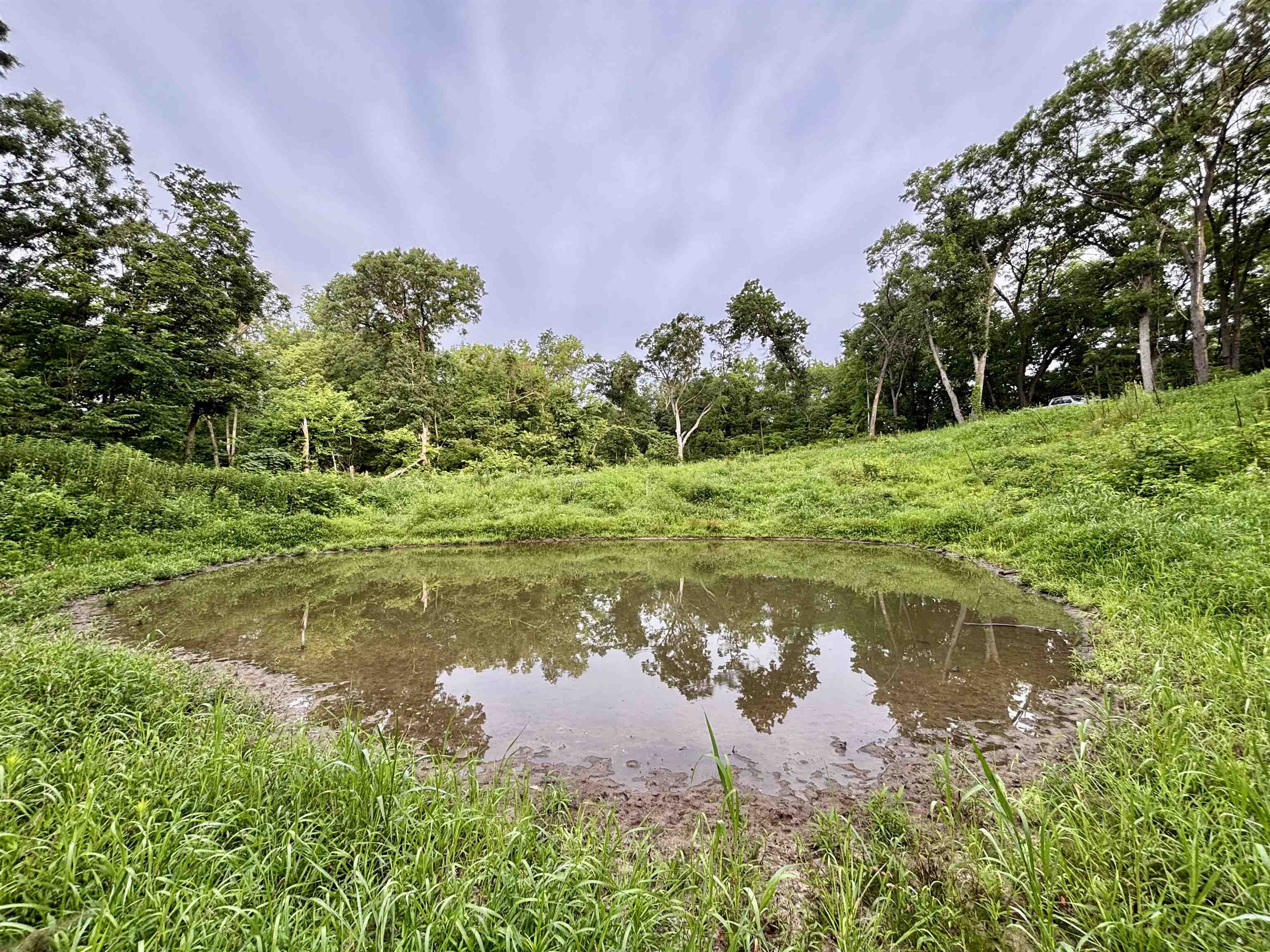 78+/- Acres TBD W Blanding Road