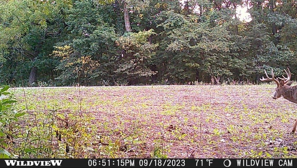 78+/- Acres TBD W Blanding Road