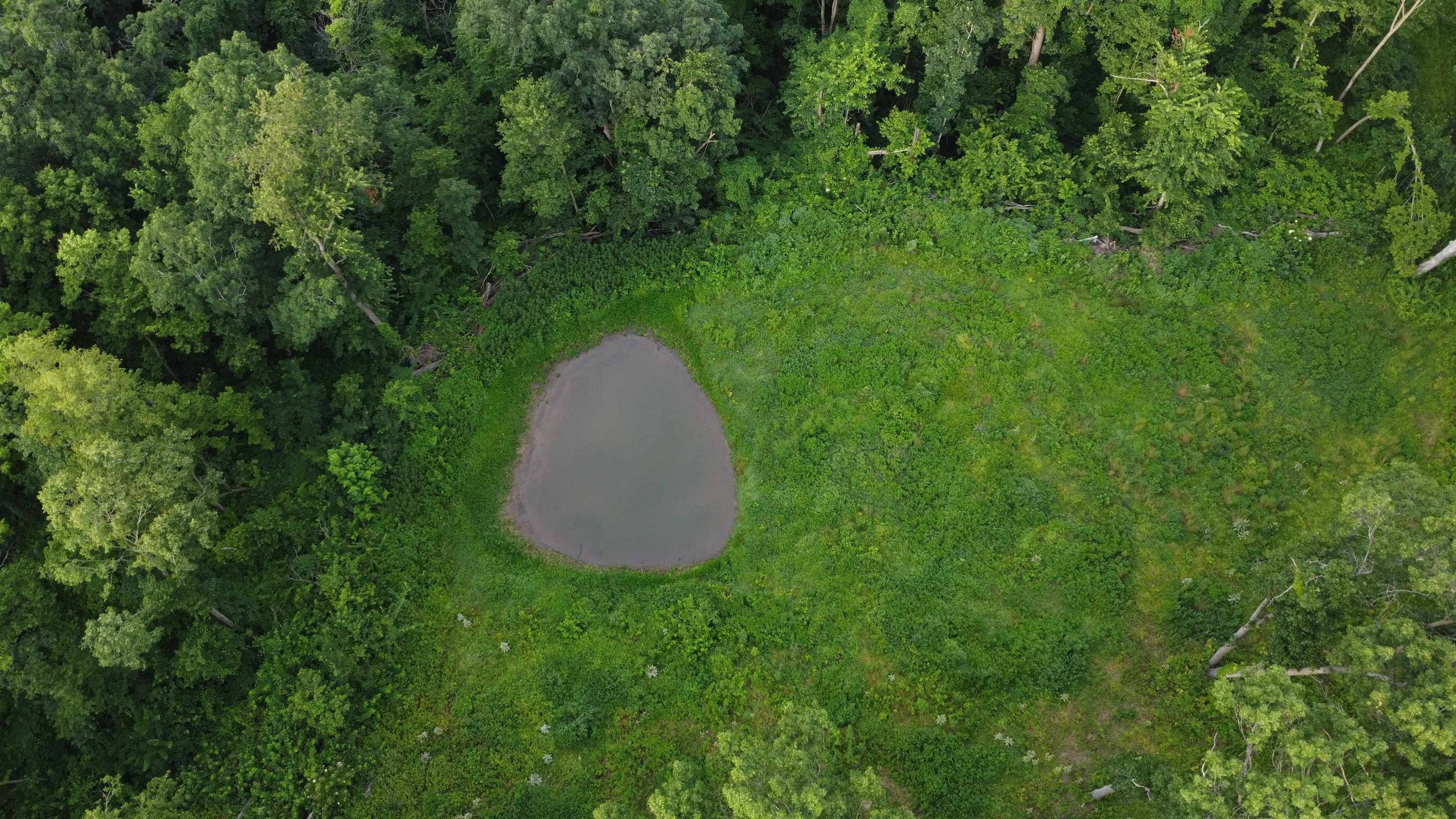 78+/- Acres TBD W Blanding Road