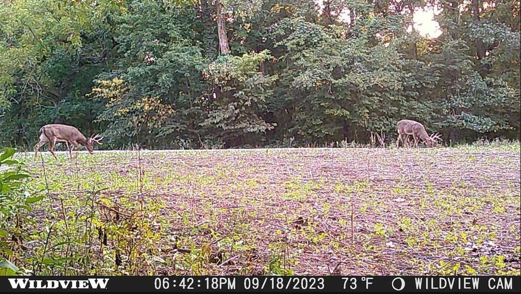 78+/- Acres TBD W Blanding Road