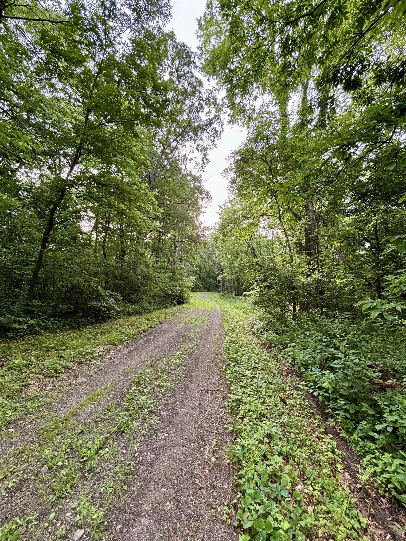 78+/- Acres TBD W Blanding Road