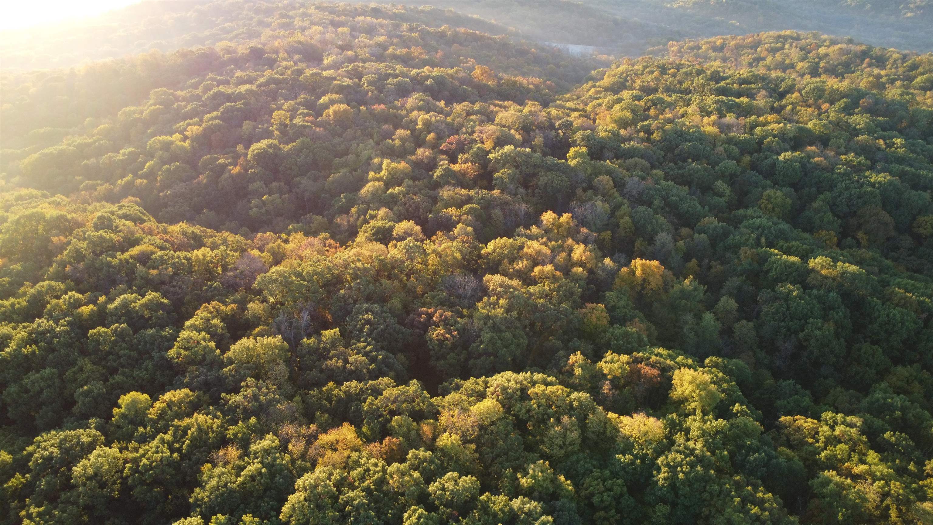 78+/- Acres TBD W Blanding Road