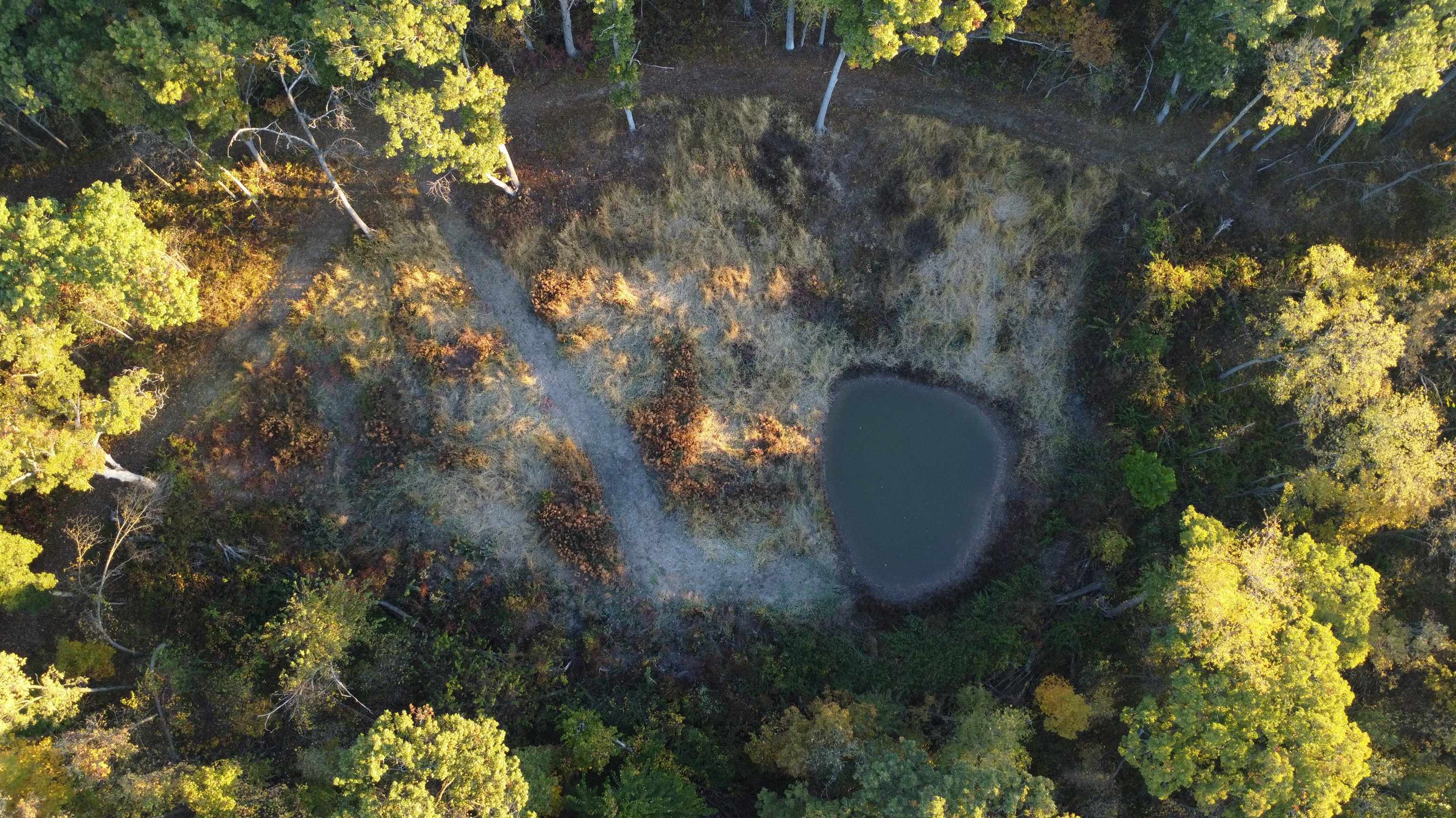 78+/- Acres TBD W Blanding Road