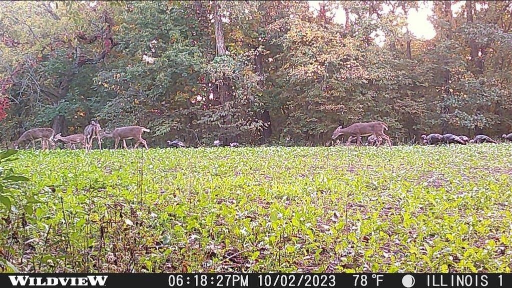 78+/- Acres TBD W Blanding Road