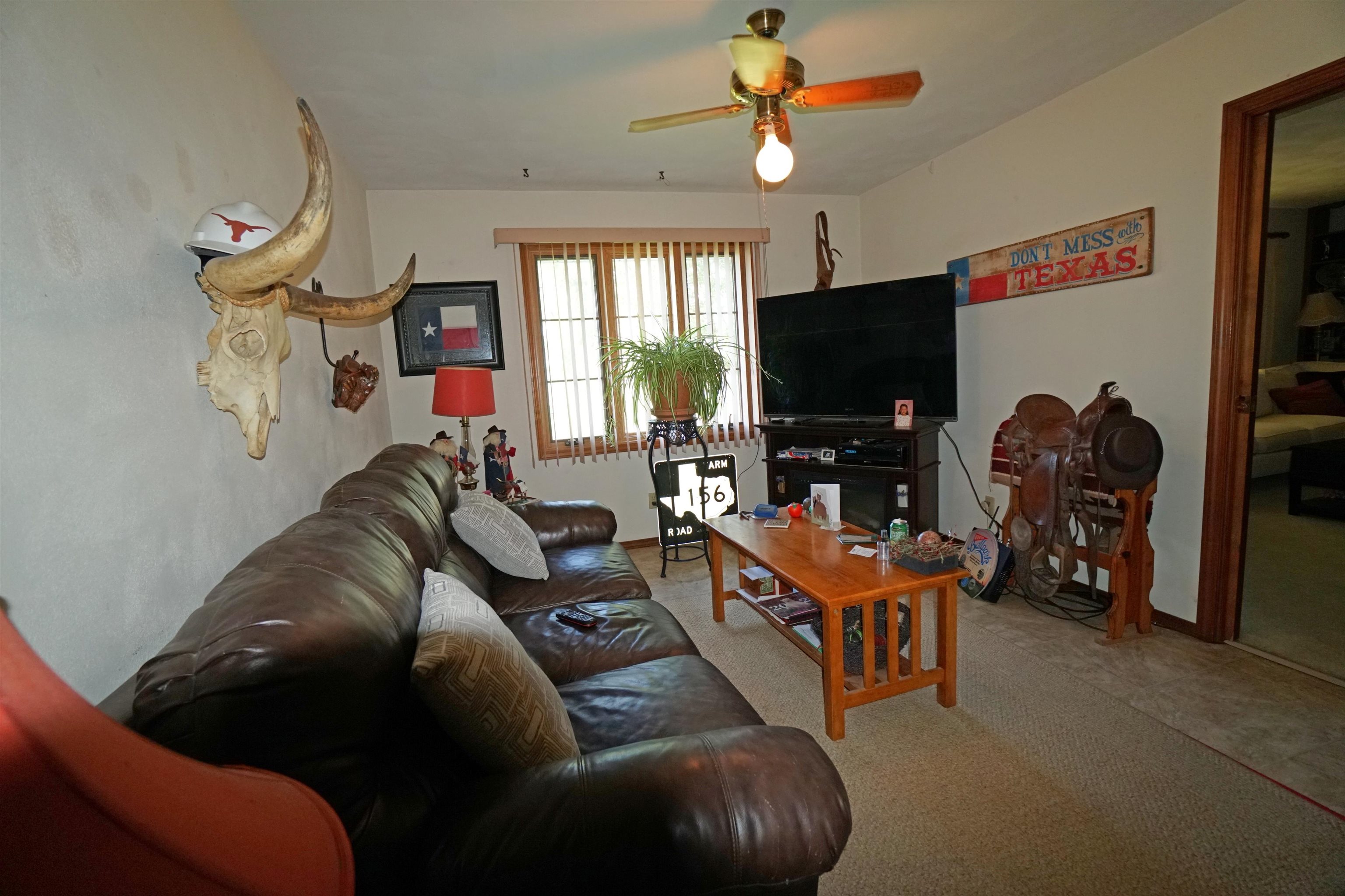 Living room with a leather sectional, television, longhorn skull, and Texas-themed decor.