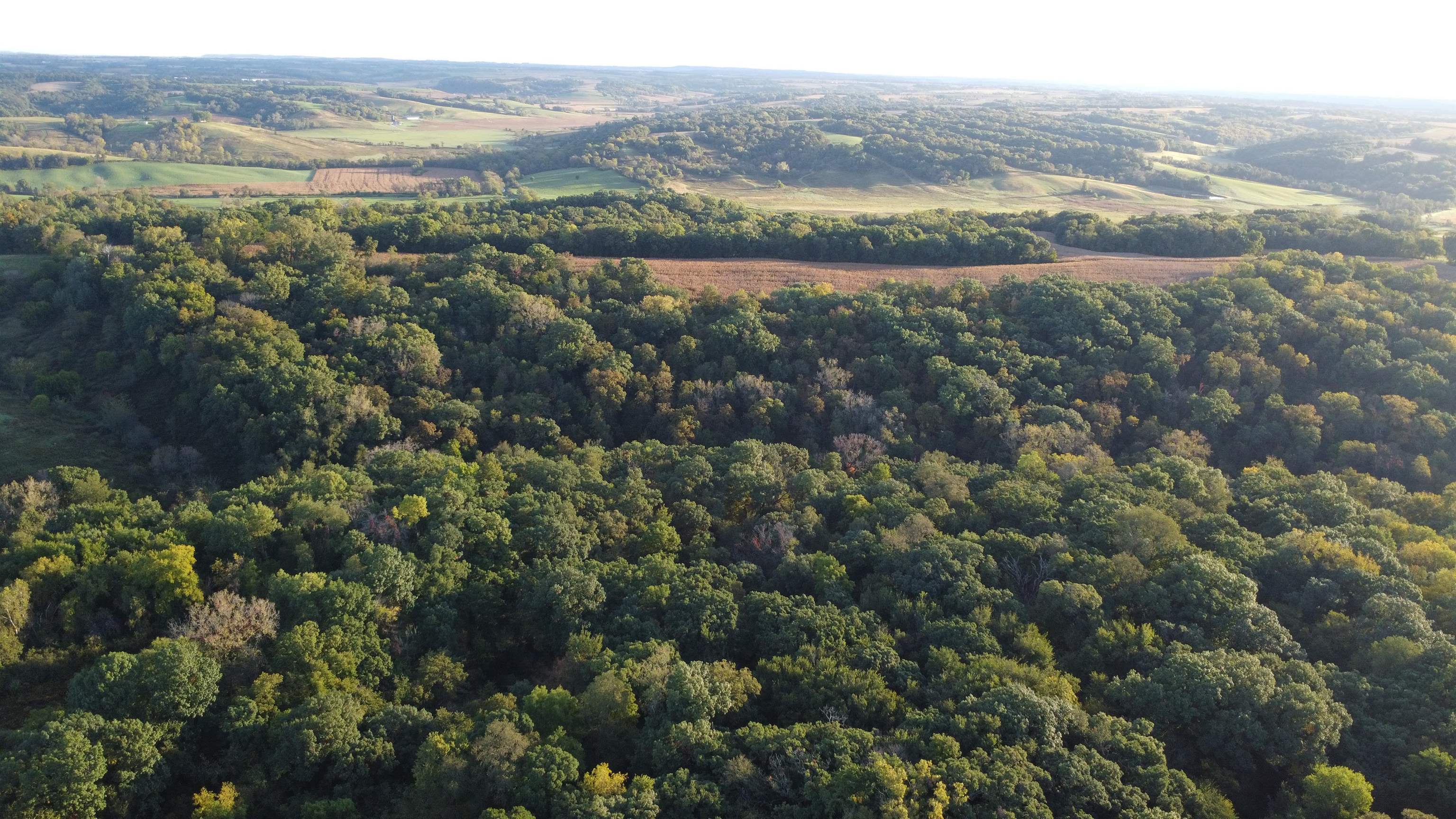 Aerial view of wooded rural land, with rolling fields and tree-covered hills stretching to the horizon.