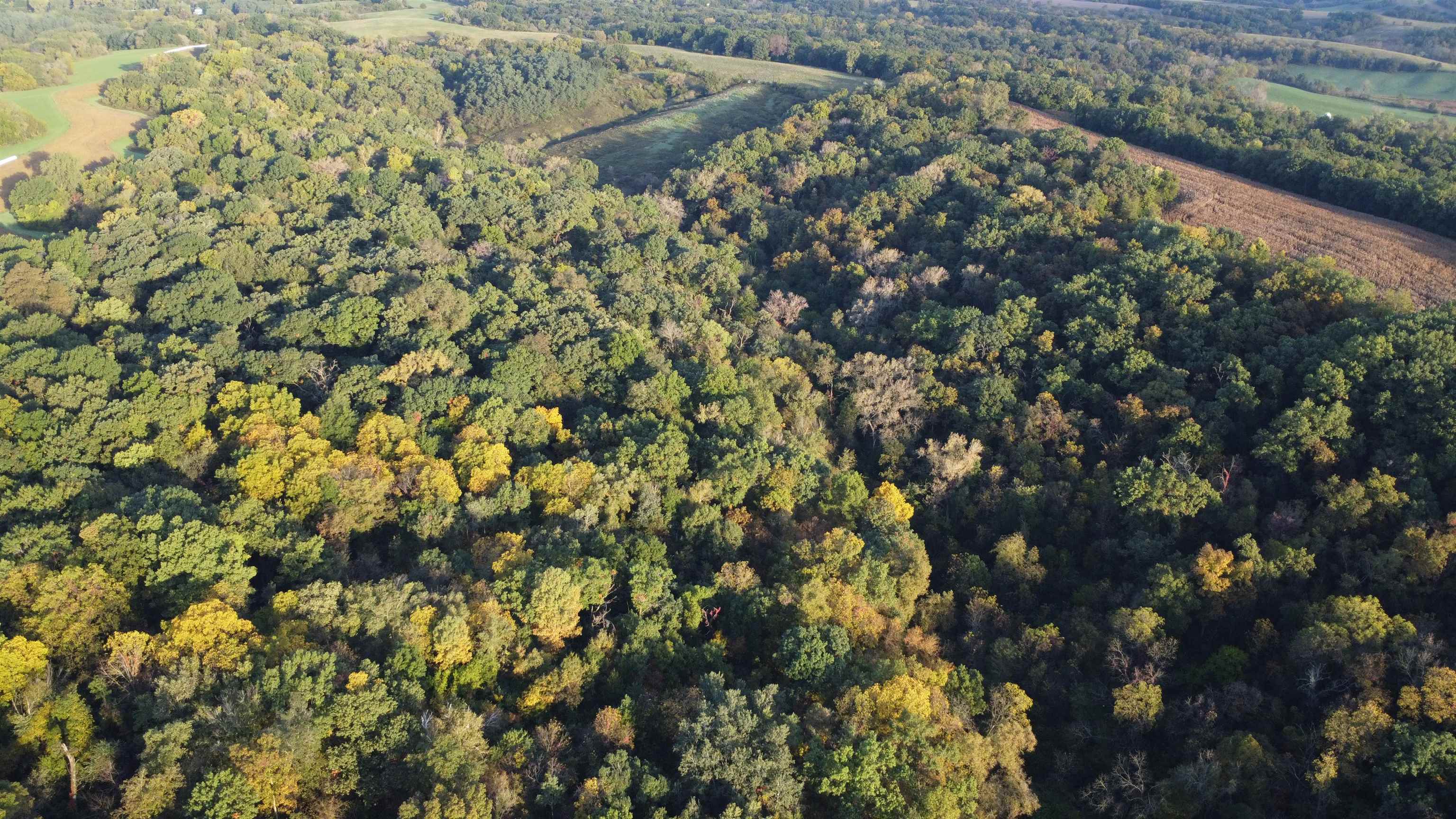 Aerial view of wooded land with autumn foliage and fields beyond.