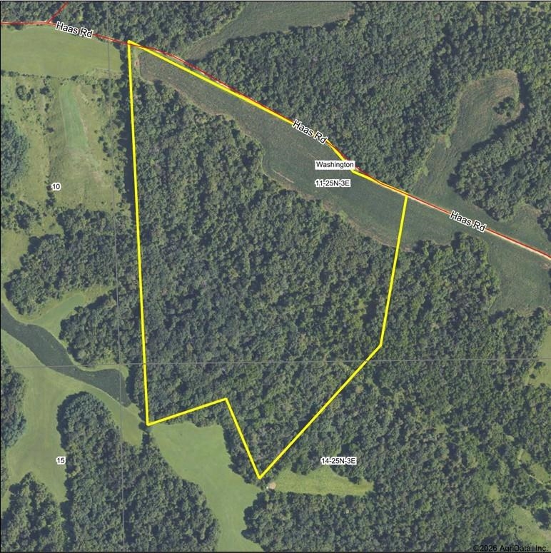 Aerial view of a wooded parcel outlined in yellow along Haas Road, with open fields at its southern edge.