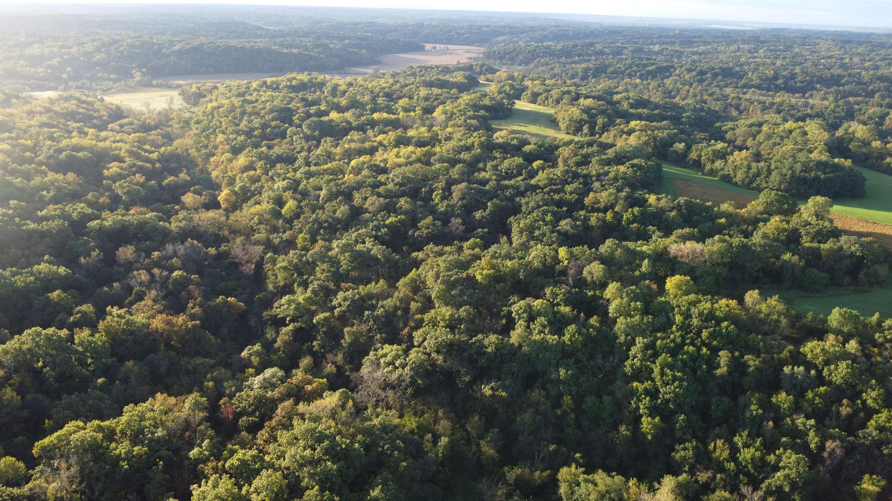 Aerial view of wooded acreage with open fields and rolling countryside.