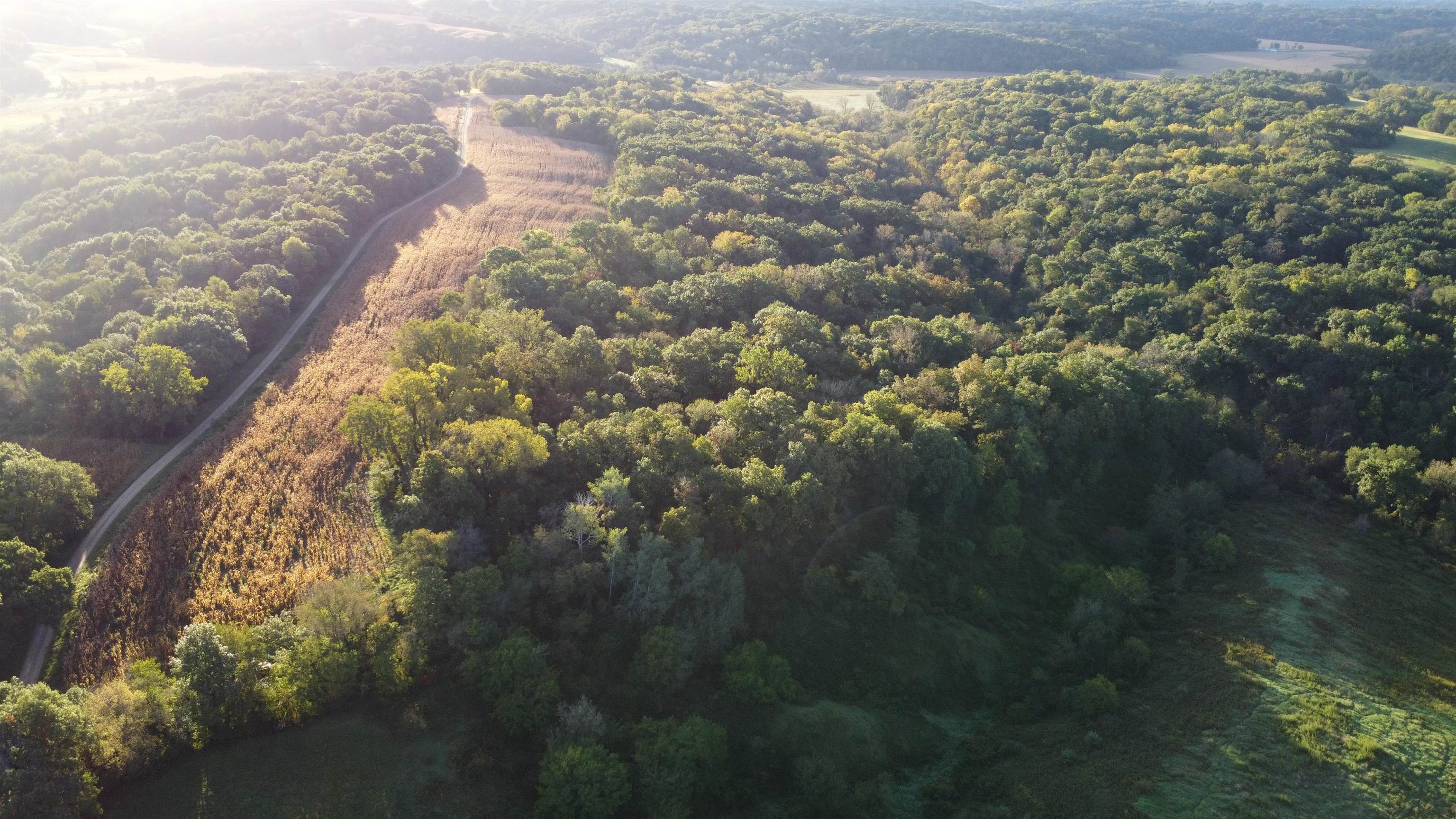 Aerial view of wooded rural land with a winding access road and patches of open field.