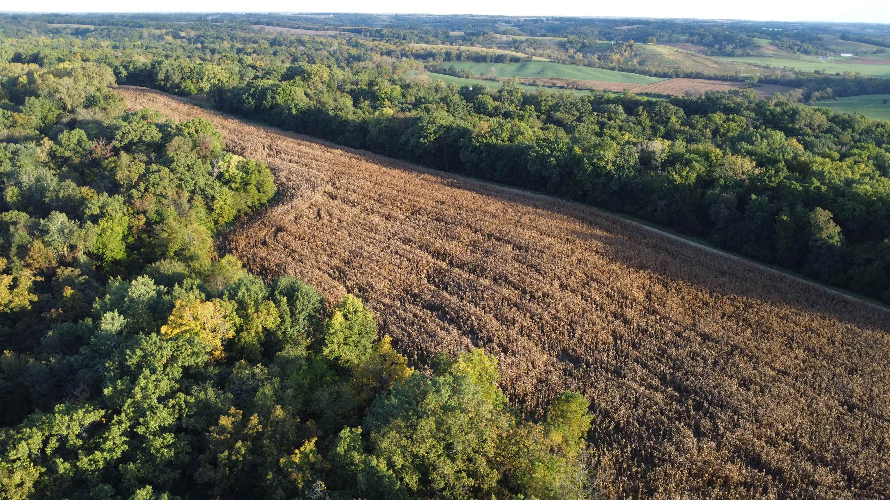 Aerial view of a brown crop field bordered by woodland and rolling farmland.
