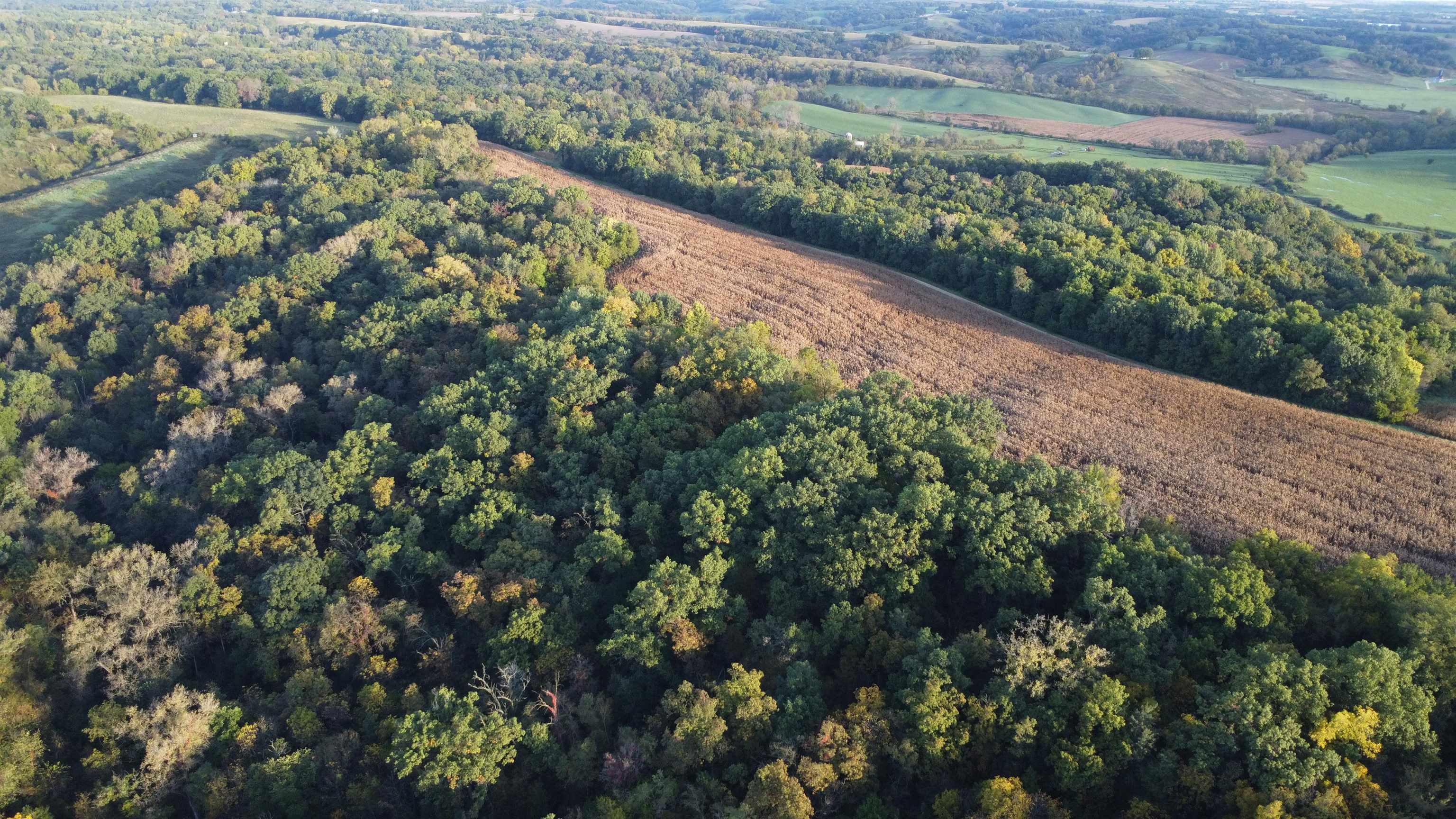 Aerial view of wooded land surrounding a long crop field, with farmland in the distance.