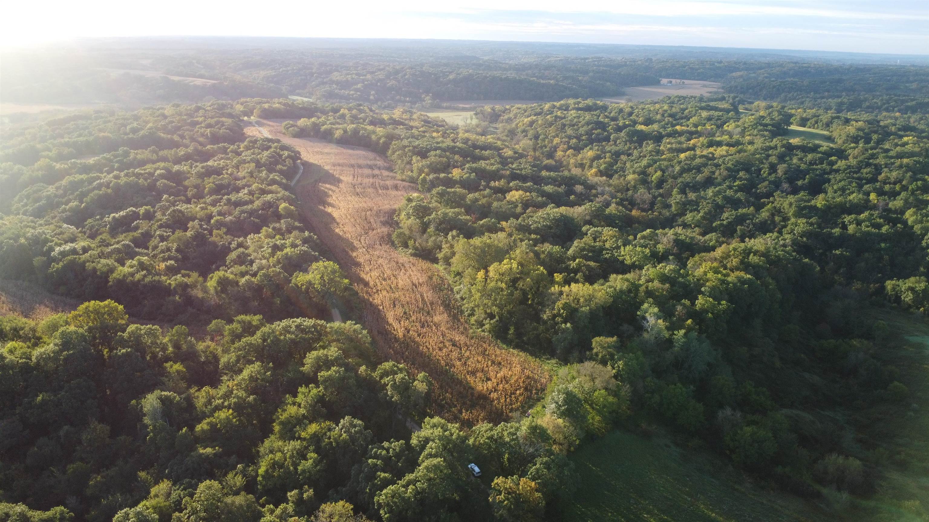 Aerial view of wooded land with a long cleared strip and open field.