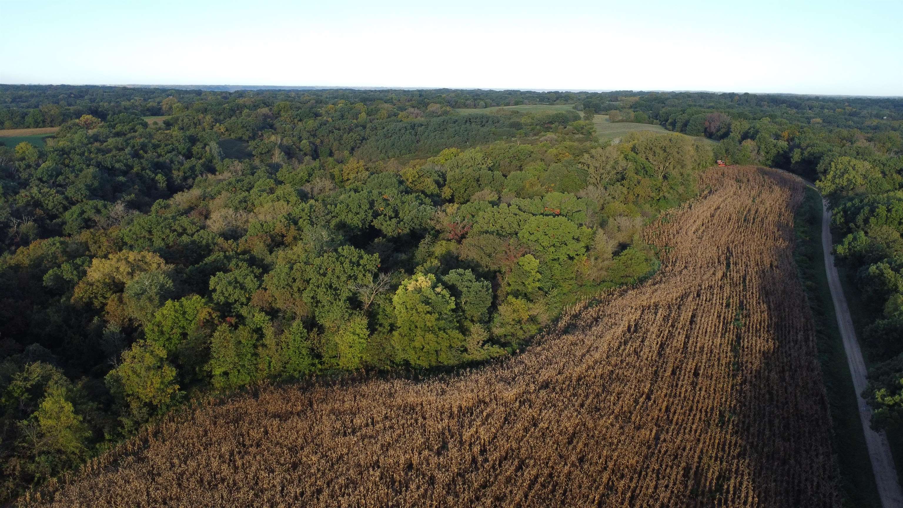 Aerial view of a cornfield bordered by dense woods and a narrow rural road.