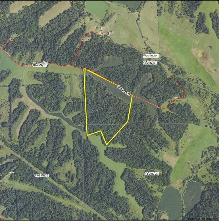 Aerial view of a wooded parcel outlined in yellow along Haas Road.