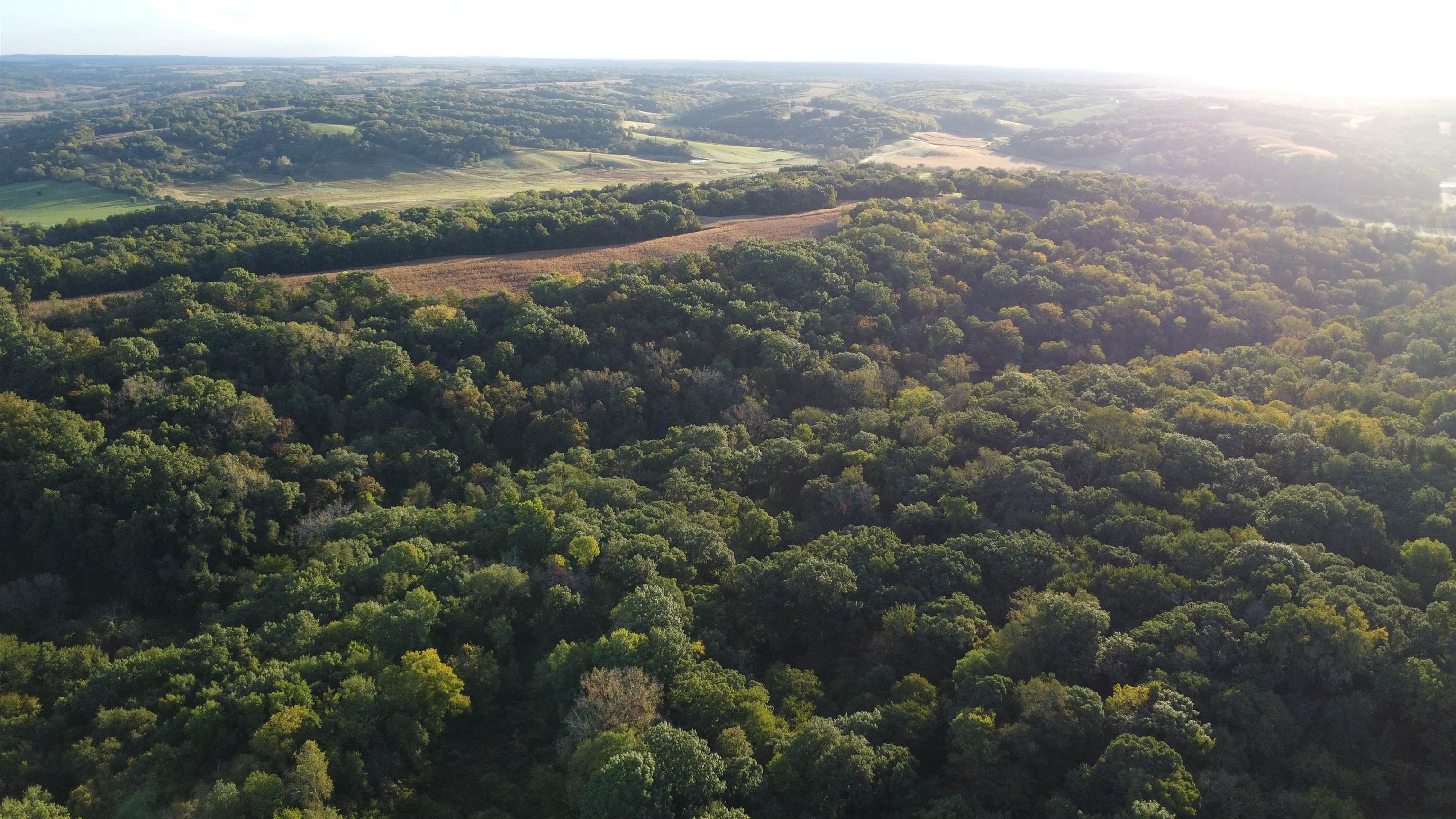 Aerial view of wooded acreage with open fields and rolling countryside in the distance.
