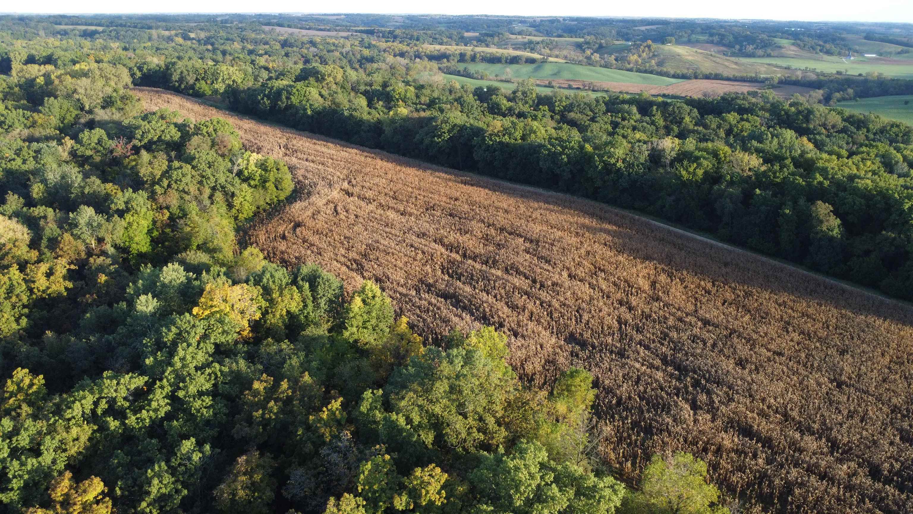 Aerial view of a crop field bordered by woods and surrounded by rolling farmland.