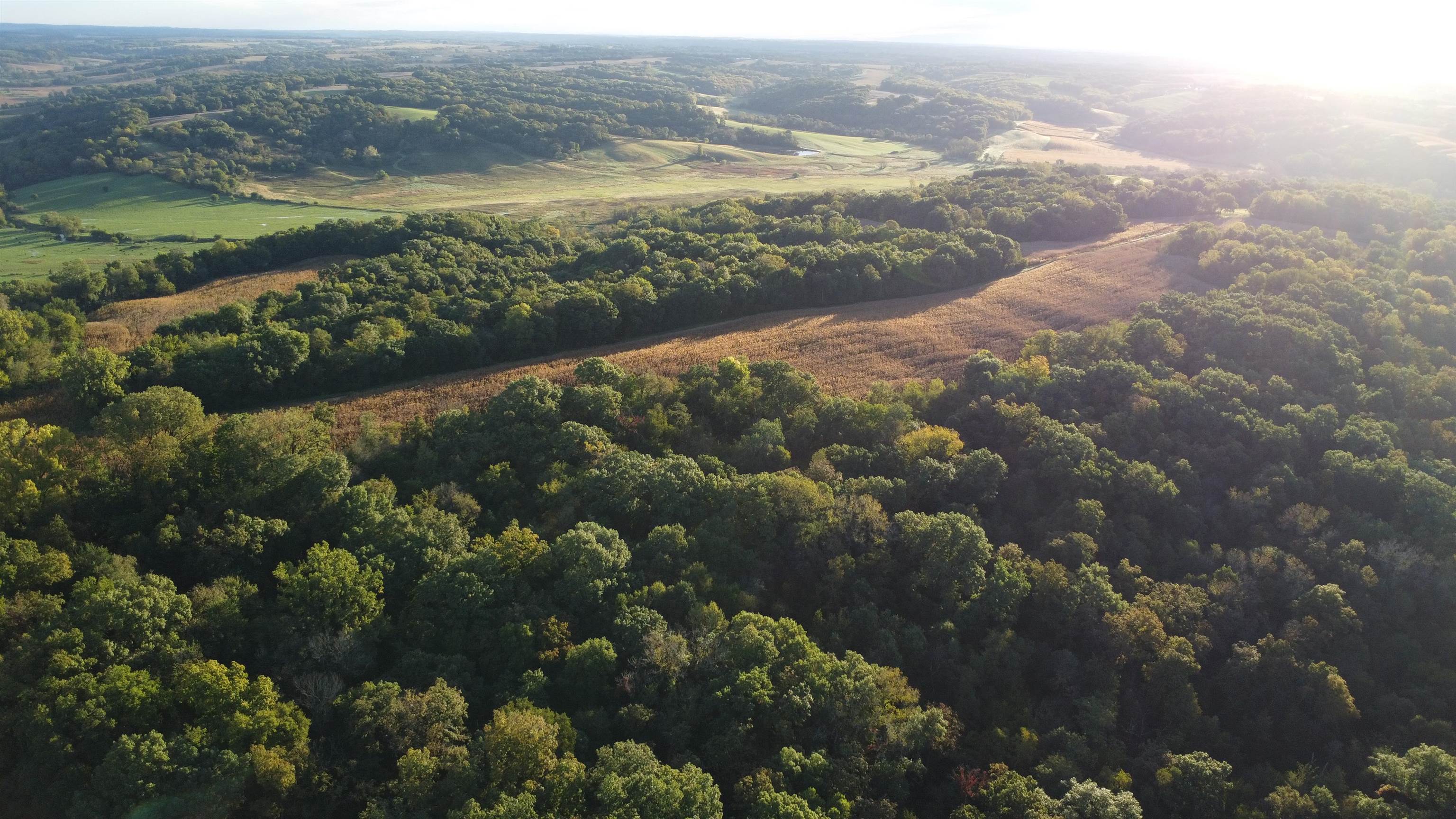 Aerial view of wooded rural land bordering open fields in warm evening light.