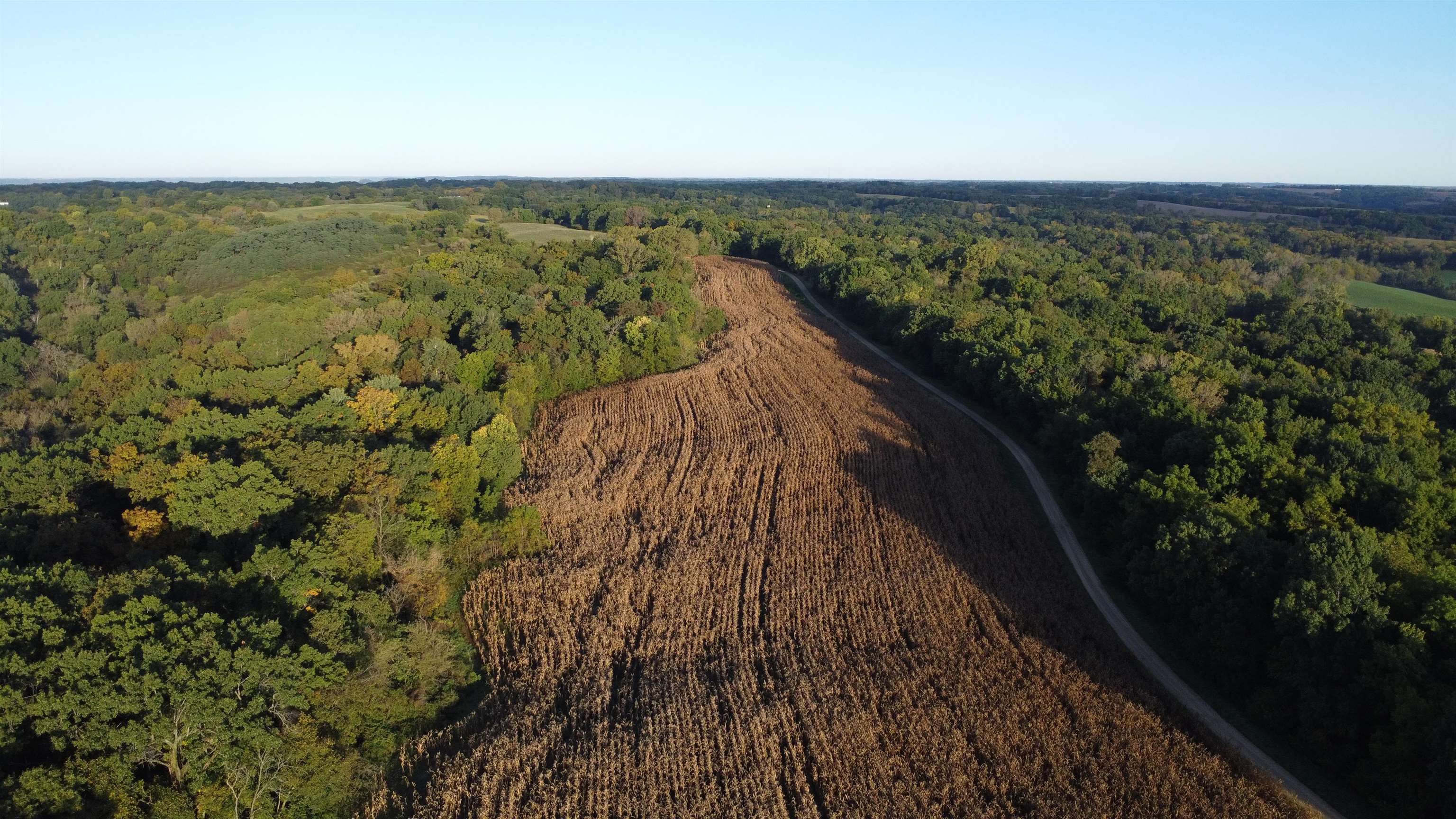 Aerial view of a cornfield bordered by woods, with a curving access road through the property.