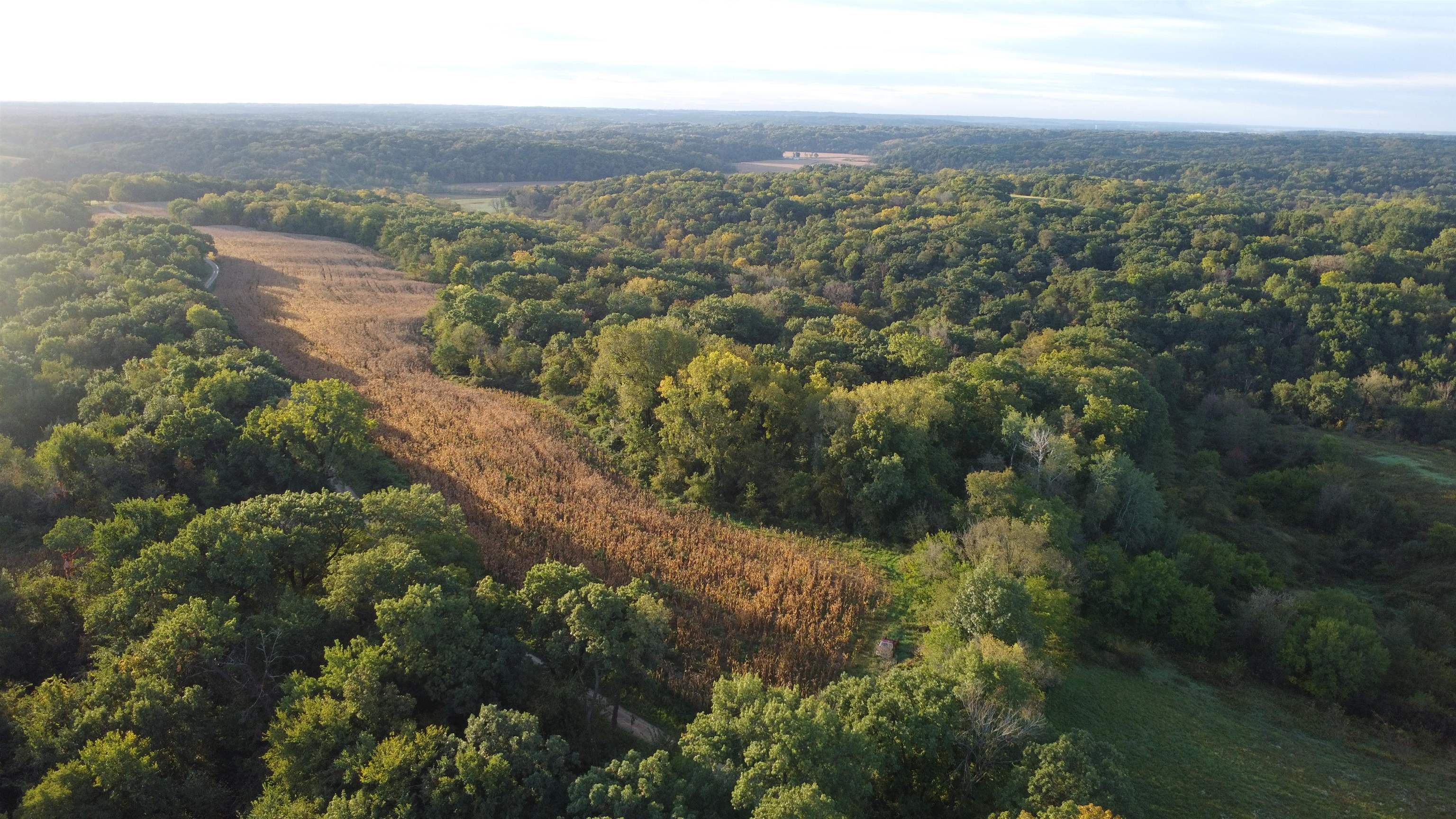 Aerial view of wooded acreage and a long crop field amid rolling countryside.