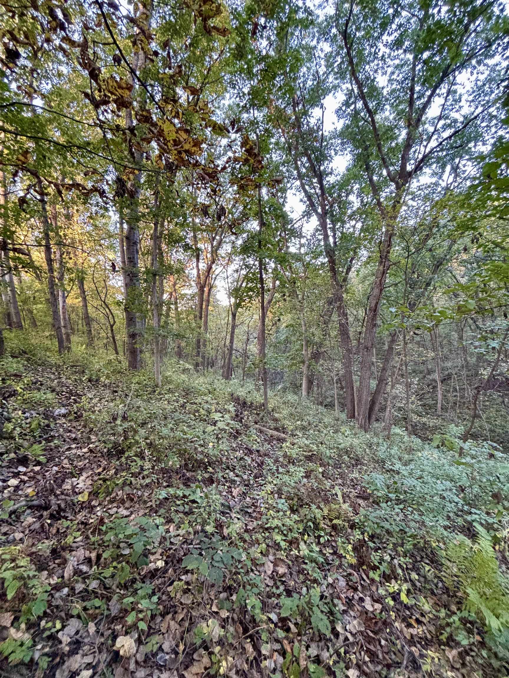 16168 Scenic Ridge Road