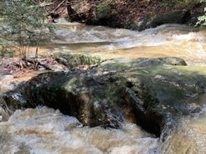 9306 Redbud Pass