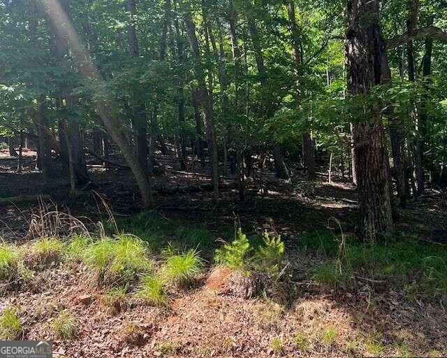 1121 Oglethorpe Mountain Road