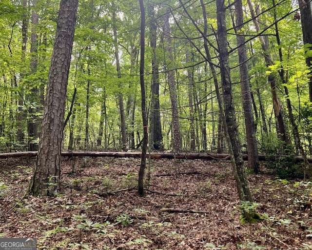 0 Mountain View Lane