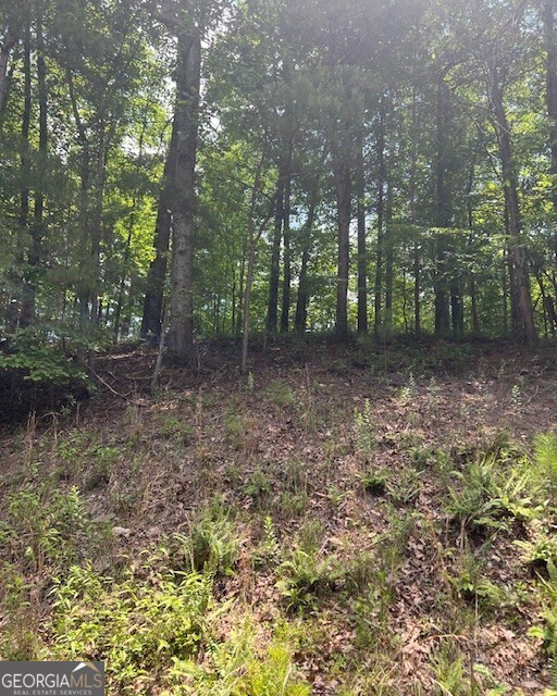 133 Adair Drive NE