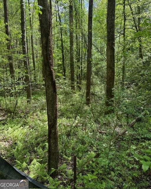 348 Hemlock Trail