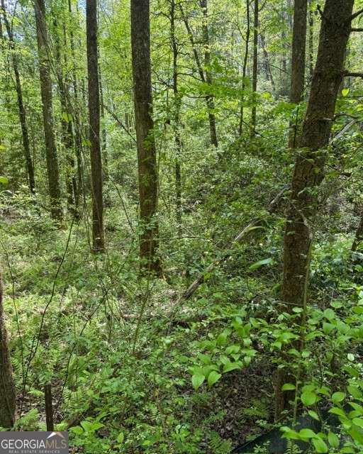348 Hemlock Trail