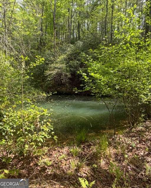 348 Hemlock Trail