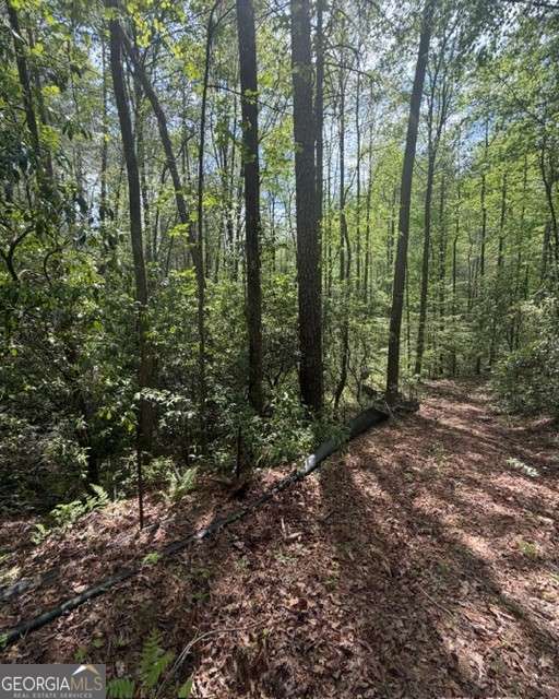 348 Hemlock Trail