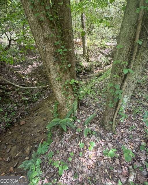 348 Hemlock Trail