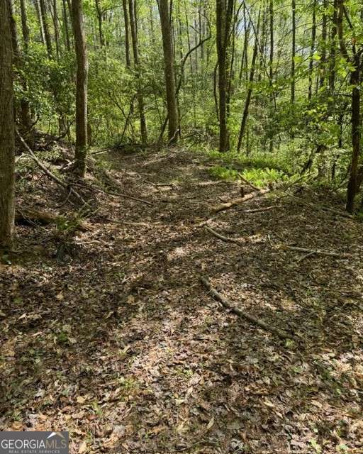 348 Hemlock Trail