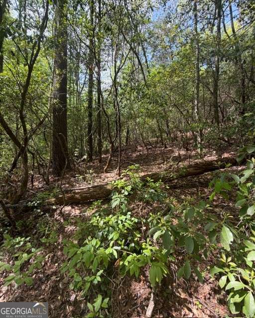 348 Hemlock Trail