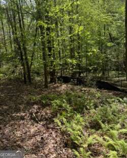 348 Hemlock Trail