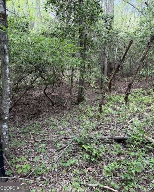 348 Hemlock Trail