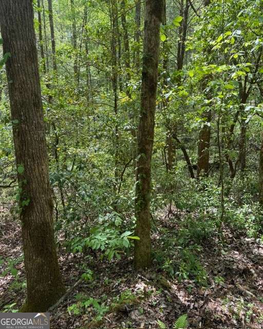 348 Hemlock Trail
